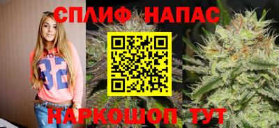 Альфа ПВП Братск