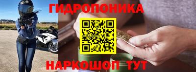 Альфа ПВП Братск