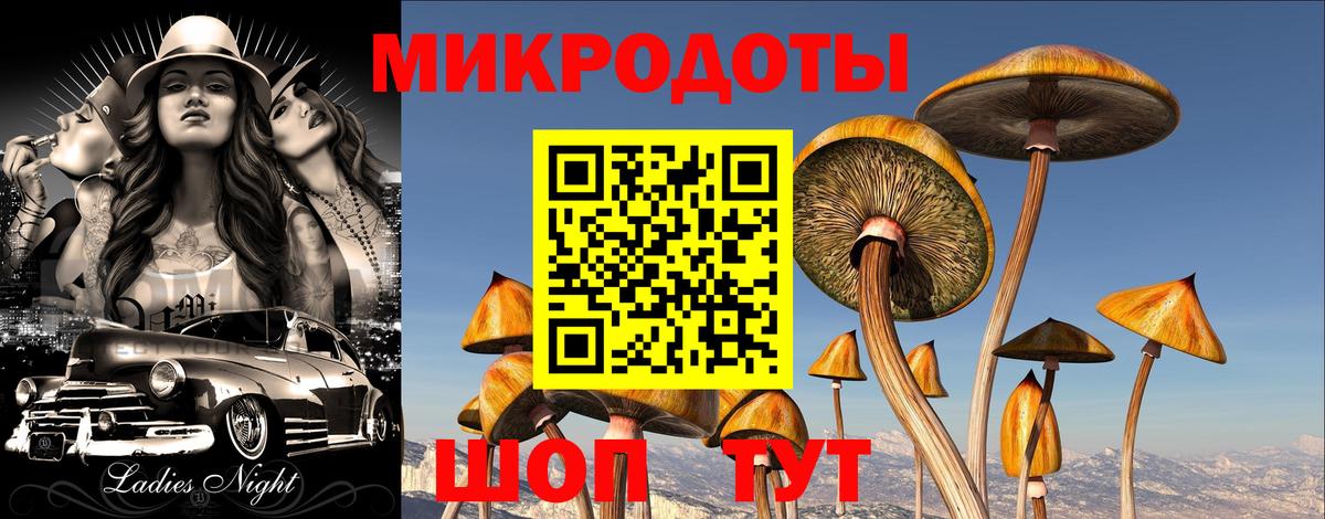 Галлюциногенные грибы мухоморы Владивосток