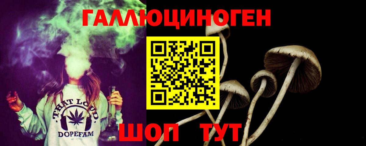 Галлюциногенные грибы мухоморы  Галлюциногенные грибы GOLDEN TEACHER  Вход с VPN  Владивосток 