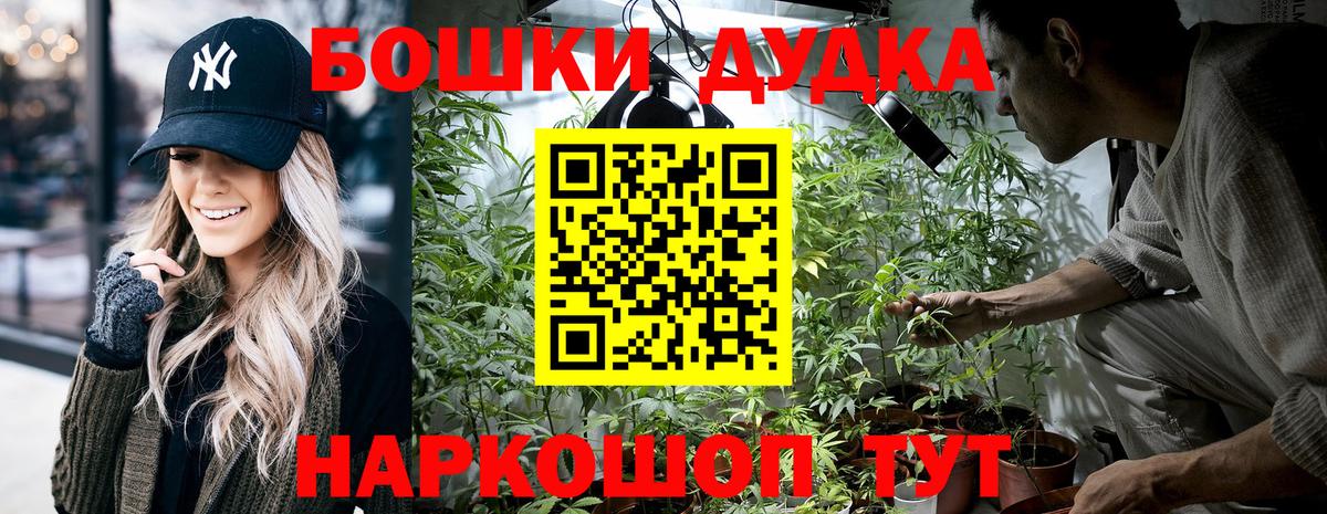 Владивосток  Шишки марихуана семена  Вход с VPN  МАРИХУАНА White Widow  Шишки марихуана планчик  Шишки марихуана конопля 
